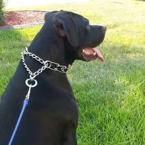 Meet your Posher, James